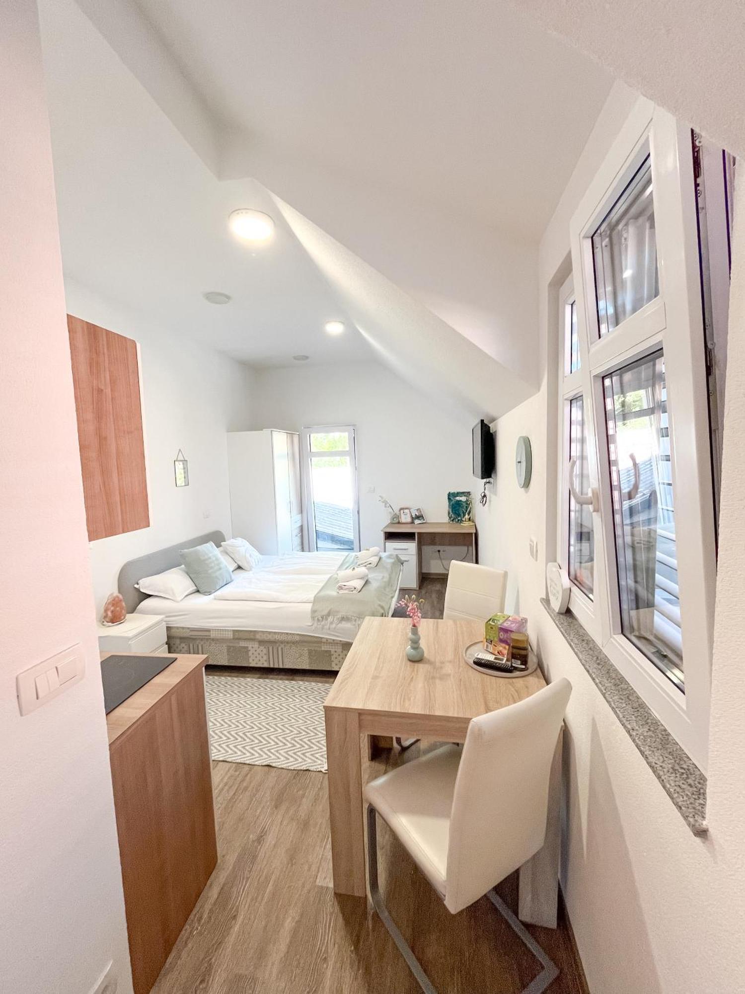 Anita'S Studio Apartments Ljubljana Kültér fotó